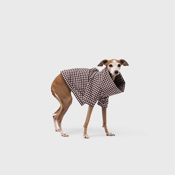 <img class='new_mark_img1' src='https://img.shop-pro.jp/img/new/icons1.gif' style='border:none;display:inline;margin:0px;padding:0px;width:auto;' />GINGHAM PULLOVER ESPRESSO abu edition