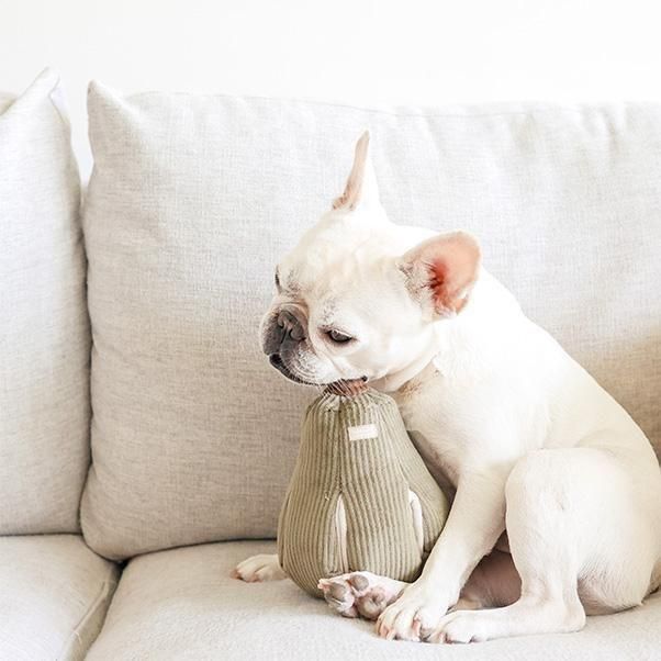 <img class='new_mark_img1' src='https://img.shop-pro.jp/img/new/icons1.gif' style='border:none;display:inline;margin:0px;padding:0px;width:auto;' />BUTTERNUT