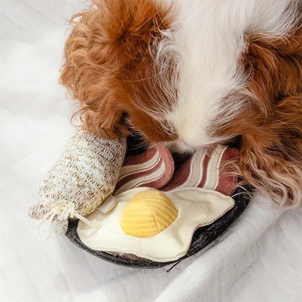 <img class='new_mark_img1' src='https://img.shop-pro.jp/img/new/icons1.gif' style='border:none;display:inline;margin:0px;padding:0px;width:auto;' />BFAST SET