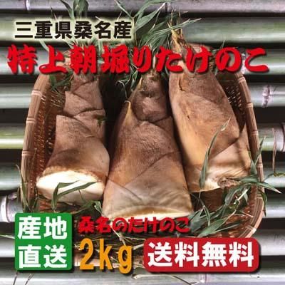 たけのこ屋 桑名 朝堀りたけのこ 生タケノコ 白子たけのこ たけのこ屋 桑名 朝堀りたけのこ 生タケノコ 白子たけのこ