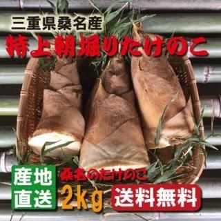 商品検索 - たけのこ屋 桑名 朝堀りたけのこ 生タケノコ 白子 商品検索 - たけのこ屋 桑名 朝堀りたけのこ 生タケノコ 白子