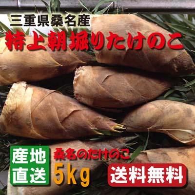 たけのこ屋 桑名 朝堀りたけのこ 生タケノコ 白子たけのこ たけのこ屋 桑名 朝堀りたけのこ 生タケノコ 白子たけのこ