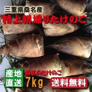 朝堀りたけのこ 竹の子 筍 白子タケノコ 桑名のたけのこ 朝堀りたけのこ 竹の子 筍 白子タケノコ 桑名のたけのこ