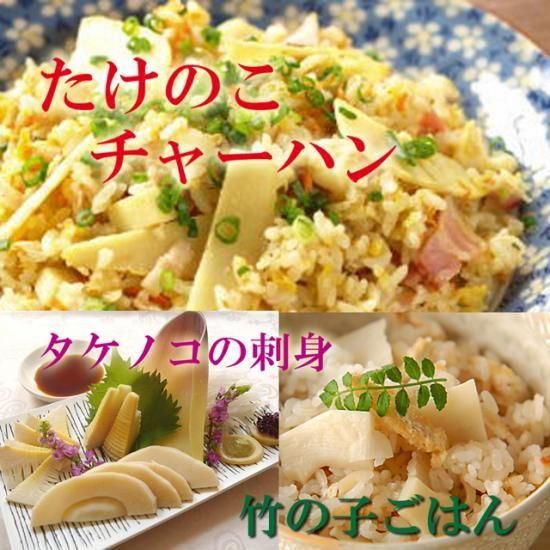 桑名のたけのこ 朝堀りタケノコ 白子たけのこ 筍 竹の子 桑名のたけのこ 朝堀りタケノコ 白子たけのこ 筍 竹の子