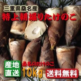 桑名のたけのこ 朝堀りタケノコ 白子たけのこ 筍 竹の子 桑名のたけのこ 朝堀りタケノコ 白子たけのこ 筍 竹の子