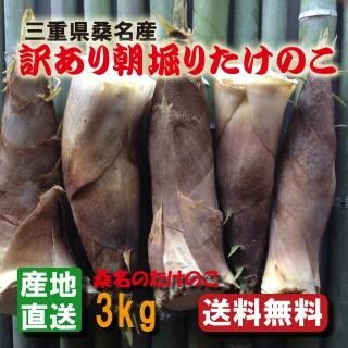 たけのこ屋 朝堀りたけのこ 竹の子 タケノコ たけのこ 筍 たけのこ屋 朝堀りたけのこ 竹の子 タケノコ たけのこ 筍
