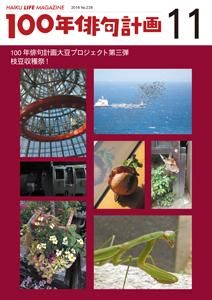 HAIKU LIFE MAGAZINE 100ǯжײ2016ǯ11(228