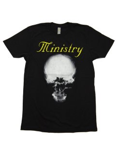 MINISTRY / MIND IS A TERRIBLE