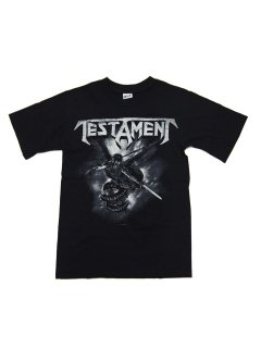 TESTAMENT / THE FORMATION OF DAMNATION