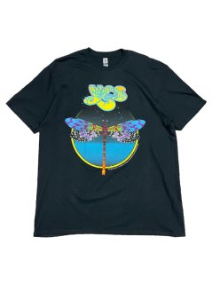 YES / DRAGONFLY