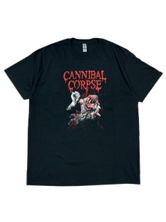 CANNIBAL CORPSE / STABHEAD2