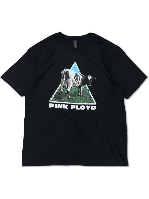 PINK FLOYD / ATOM HEART