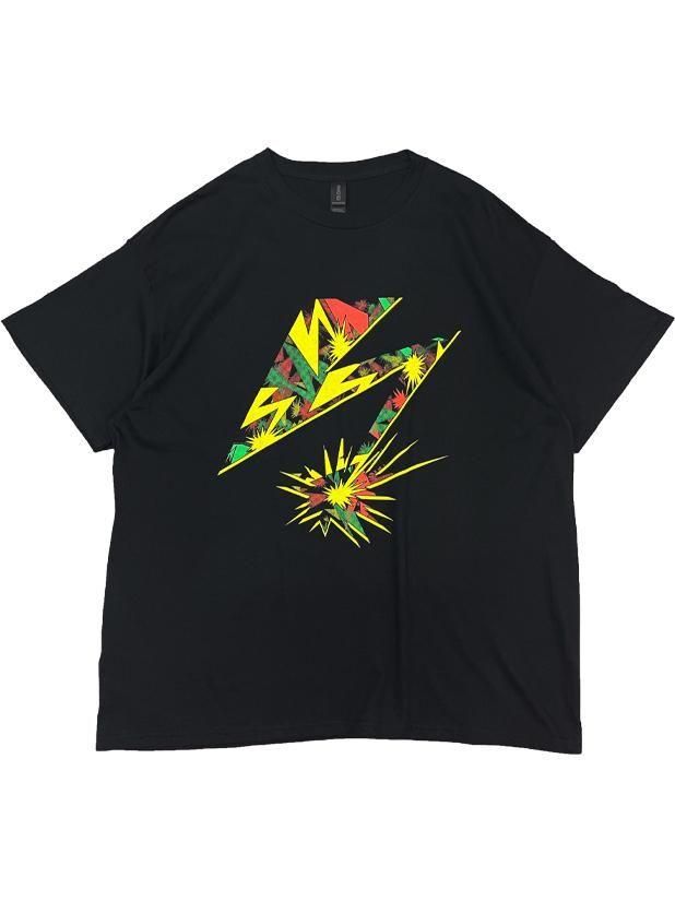 BAD BRAINS / CAMO BOLT