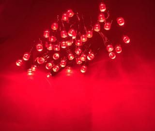 LEDߥ͡(ȥ󥰥饤)100/ 10M(ֿȯ)