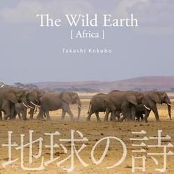 ϵλ-The Wild EarthסΥեꥫϡʼˡδ