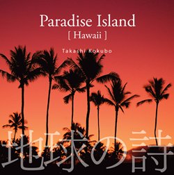 ϵλ־ƽ-Paradise IslandסΥϥ磻ϡʼˡδ