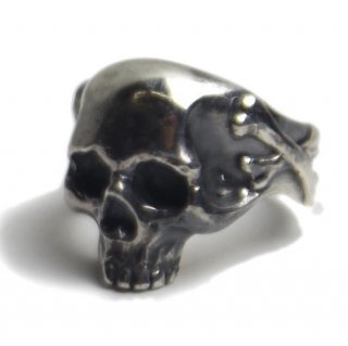 <img class='new_mark_img1' src='https://img.shop-pro.jp/img/new/icons16.gif' style='border:none;display:inline;margin:0px;padding:0px;width:auto;' />ARS-10 RT SKULL Ring SV/SV