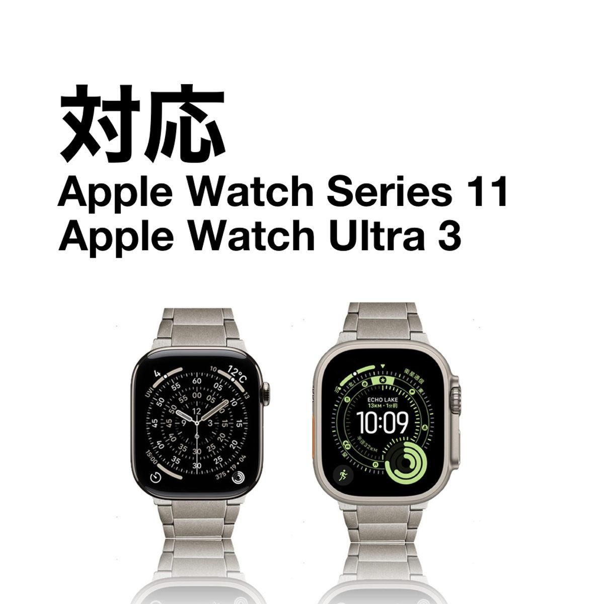 MinZ Titanium Band 2 for Apple Watch ナチュラルチタニウム