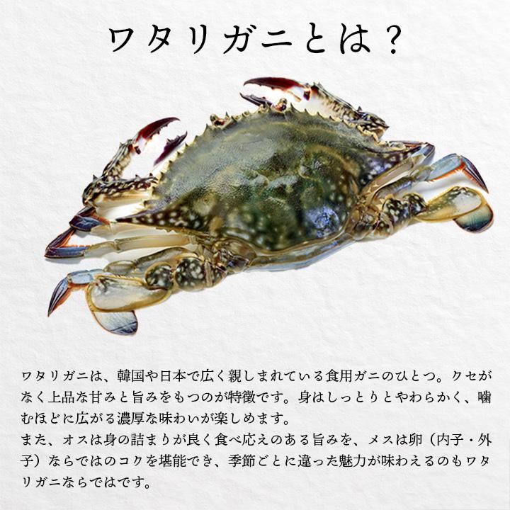 勵ꥬˤȤ