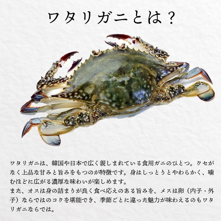 勵ꥬˤȤ