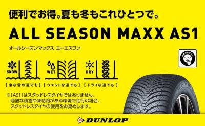 ڥ륷ۥå ALL SEASON MAXX AS1 215/55R17 94H   ٤ƥߥ4SETʡ