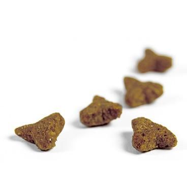 Amazon | ジョセラ (Josera) センシキャット 猫用 (2kg) 消化器