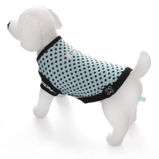 スプリングドット ブルー 犬の服 ドッグウェアと首輪の専門店 通販サイト Gradog スプリングドット ブルー 犬の服 ドッグウェアと首輪の専門店 通販サイト Gradog