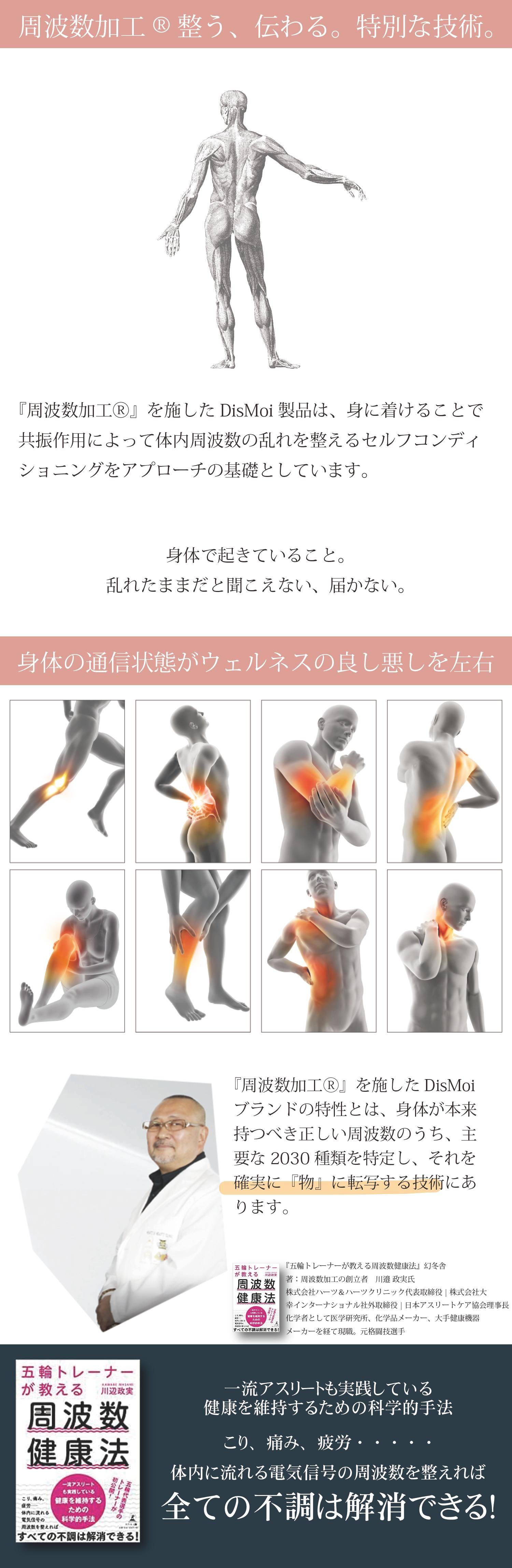 ディモアスポーツオーロラ | 42cm - 大幸インターナショナル