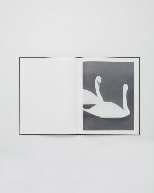 Mats Gustafson  Swan