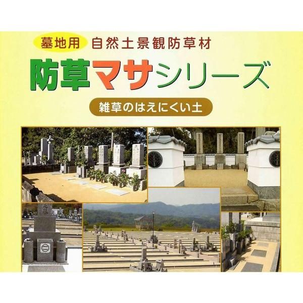 サマピ会場の石と砂 summer grass field」 The Iwagumi layout was established by