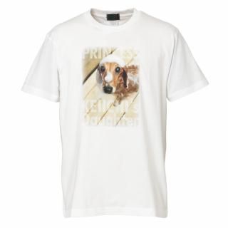 <img class='new_mark_img1' src='https://img.shop-pro.jp/img/new/icons1.gif' style='border:none;display:inline;margin:0px;padding:0px;width:auto;' />ڸ꾦ʡž̥ץTġ