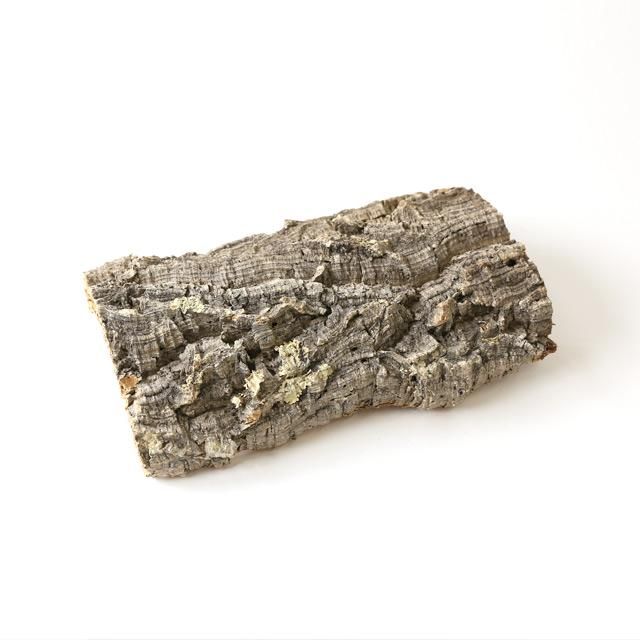 バージンコルク Mサイズ Uchiyamacork直接販売 コウモリランの着生や水槽でのテラリウム 昆虫の住処におすすめ バージンコルク Mサイズ Uchiyamacork直接販売 コウモリランの着生や水槽でのテラリウム 昆虫の住処におすすめ