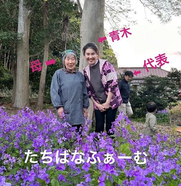 Âåɽ¡¡Î©²ÖÎÉÉ× ¡¡ cafeÂåɽ¡¡ÀÄÌÚÀ¶»Ò¡ÊµìÀ«Î©²Ö¡Ë