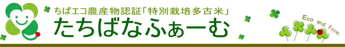 農薬化学肥料未使用「幻の多古米」千葉の農家直売 たちばなふぁーむ