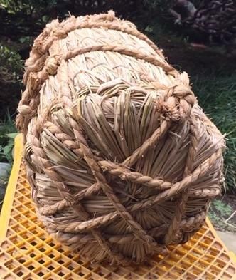 千葉 多古米コシヒカリ 玄米（減農薬 千葉エコ栽培） - お米