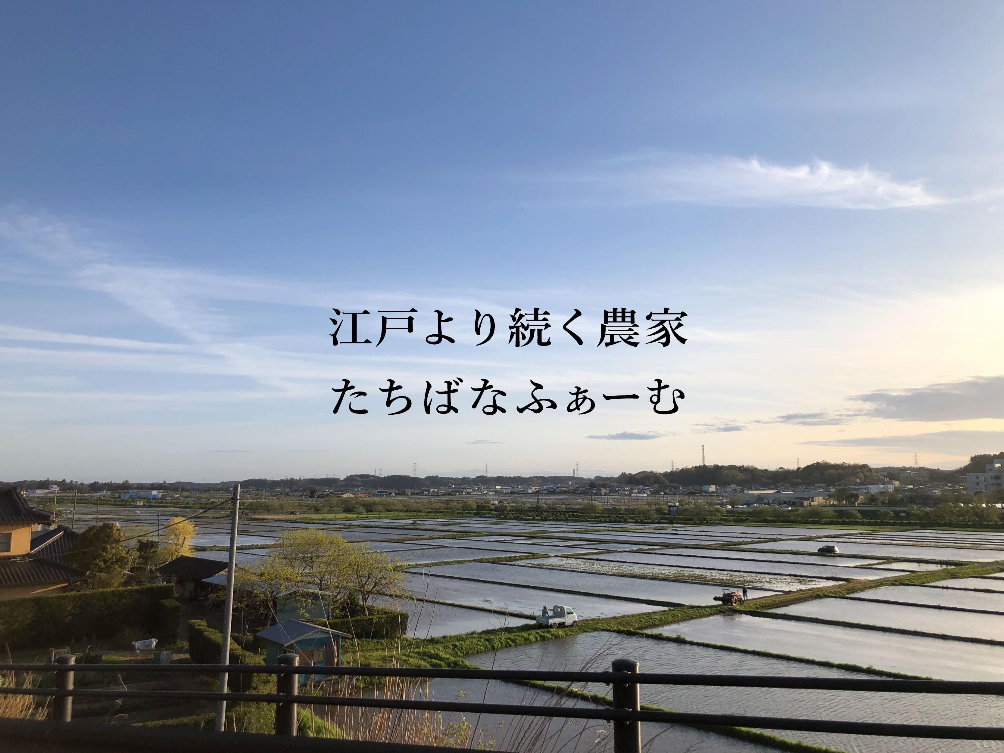 農福連携の取組 | さくらさくらグループ