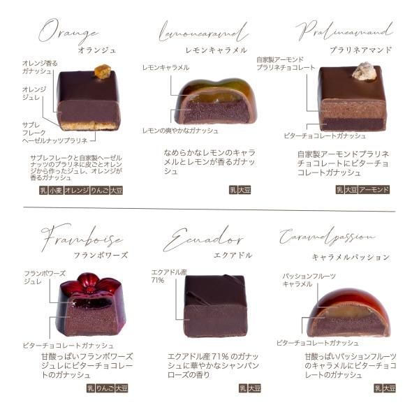 抜群の収納力！IANNE史上最も使いやすいコンパクトな二つ折り
