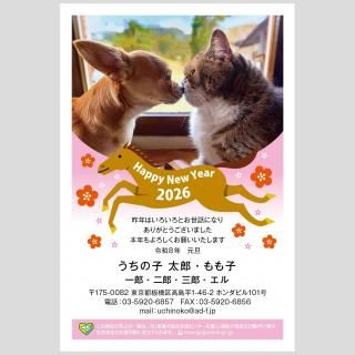 042026λҥꥸʥƥǯΤǯդǯϤ104,850ȴ~