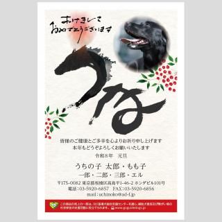 162026λҥꥸʥƥǯΤǯդǯϤ104,850ȴ~