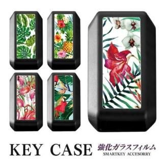 ڡ ѡ MK53S ڡ ޡȥ  ޡȥ С ޡȥС С MK53 ꡼