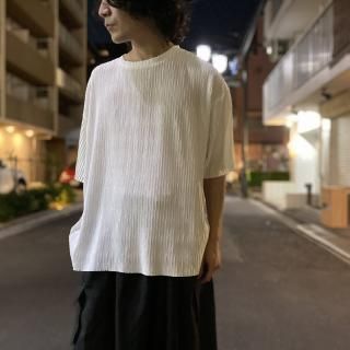 Loose Pleated Sheer T-shirt