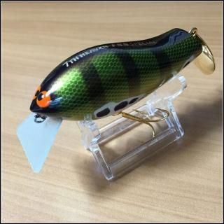 FSSアーカイブ - フィッシングサロン心斎橋 ONLINE