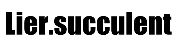 Lier.succulent¿Υ-¿ȥ饤󥷥å-
