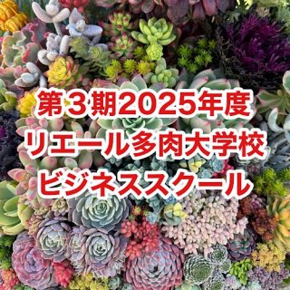 2025ǯ٥ꥨ¿عӥͥ3