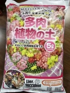 ꥨ륵ȥꥸʥ¿ʪڡ 7/15-20