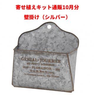 <img class='new_mark_img1' src='https://img.shop-pro.jp/img/new/icons15.gif' style='border:none;display:inline;margin:0px;padding:0px;width:auto;' />¿ʪ󤻿 饤󤻿å10ʬɳݤС͸ 