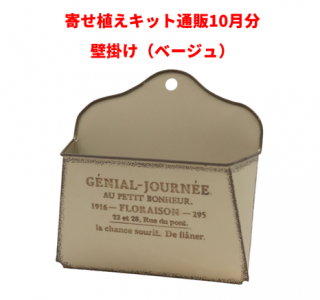 <img class='new_mark_img1' src='https://img.shop-pro.jp/img/new/icons15.gif' style='border:none;display:inline;margin:0px;padding:0px;width:auto;' />¿ʪ󤻿 饤󤻿å10ʬɳݤ١塡͸ 