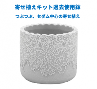 <img class='new_mark_img1' src='https://img.shop-pro.jp/img/new/icons15.gif' style='border:none;display:inline;margin:0px;padding:0px;width:auto;' />¿ʪ󤻿 饤󤻿å10ʬȭۤĤ֤Ĥ֡ᥤδ󤻿͸ 