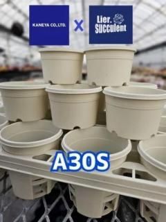 ﻺȥܡꥨȭ A-30S10/15-26