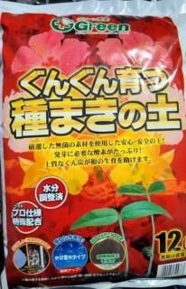 ꥨ뤪ᥰ꡼󻺶Ȥ󤰤ļޤ(ɥEX) 11/1-7